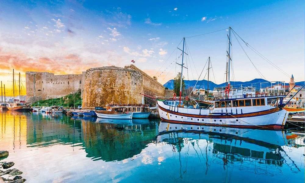 پرنده مهاجر cover